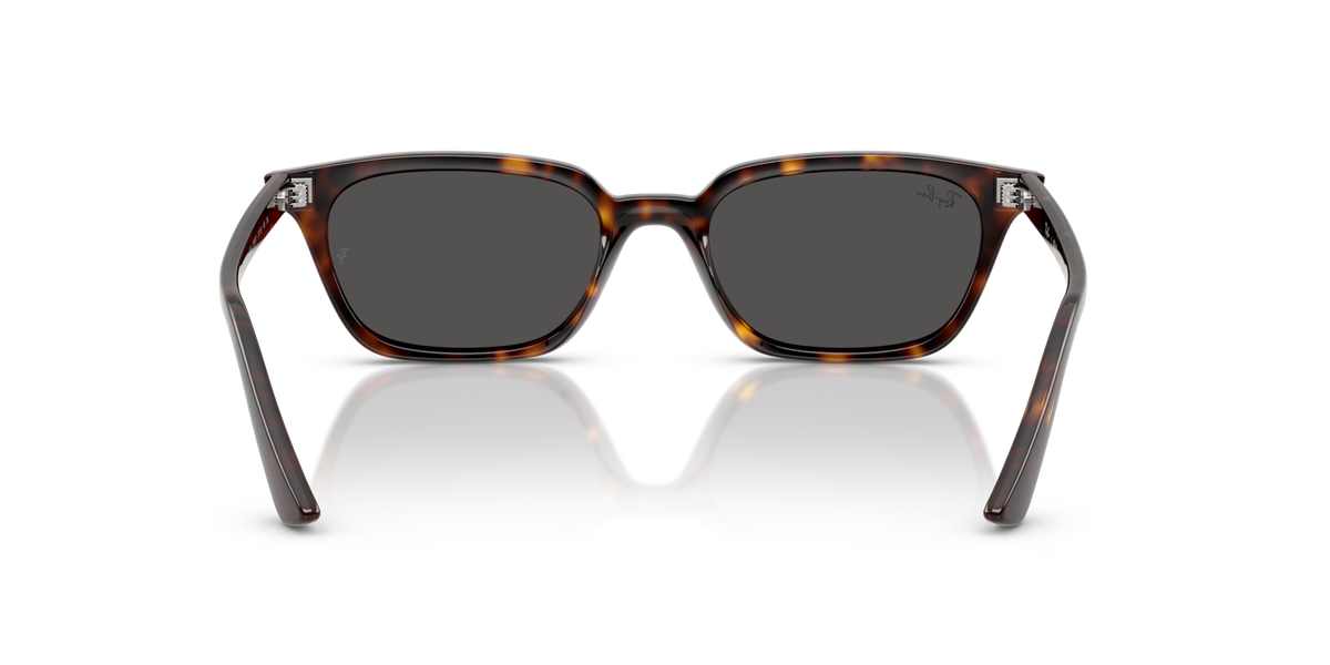 Havana W/ Dark Grey