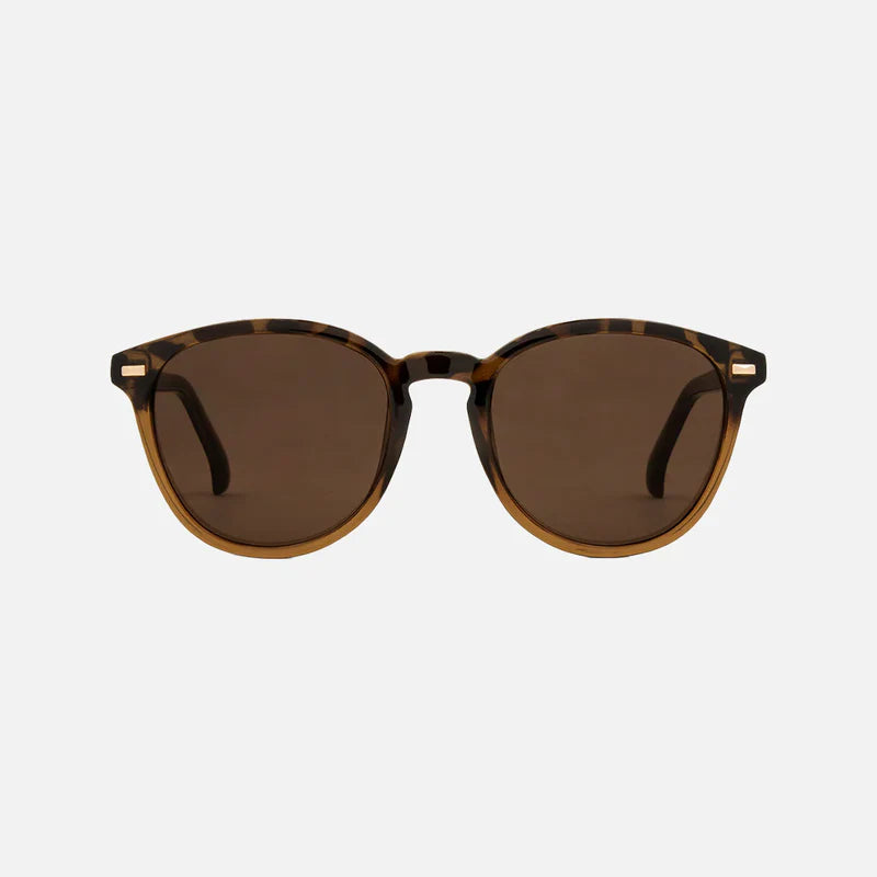 Oslo - Gloss Tort/Toffee brown Lens