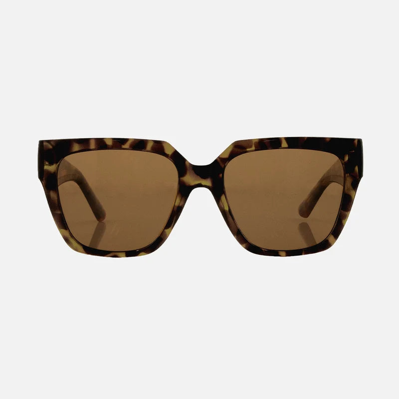 Brooklyn - Gloss Tort frame Brown Lens