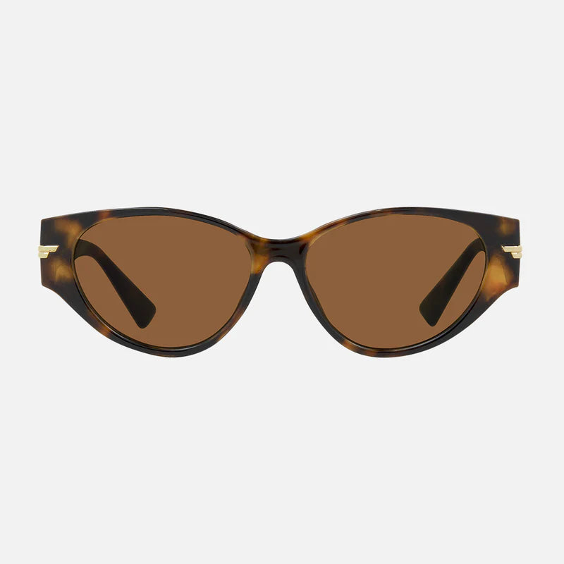 Rhode - Sunny Gloss Tort frame Brown Lens