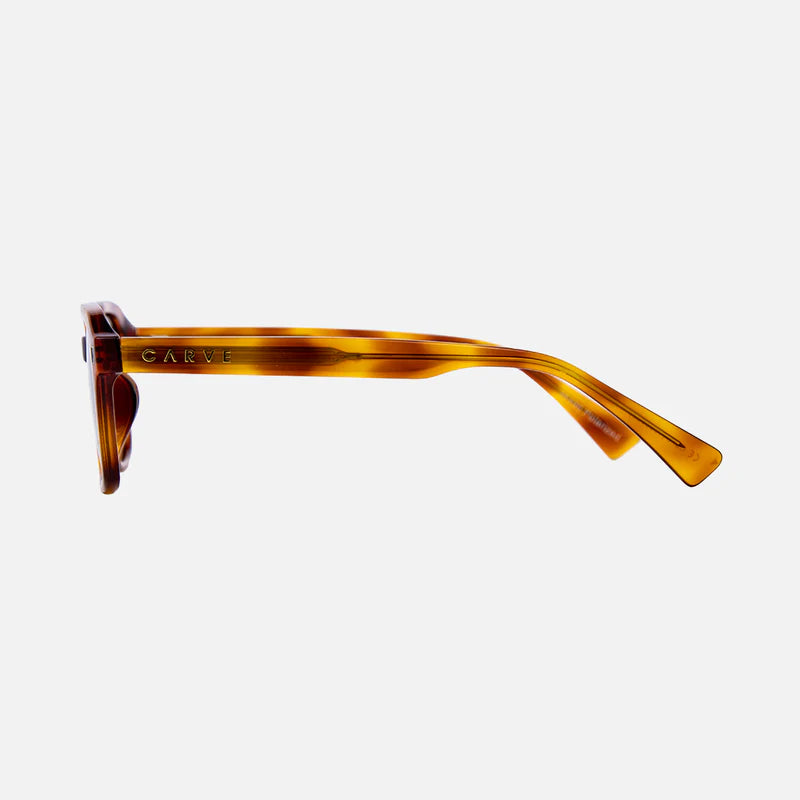 Del Ray - Tort Frame Brown Gradient Polar Lens