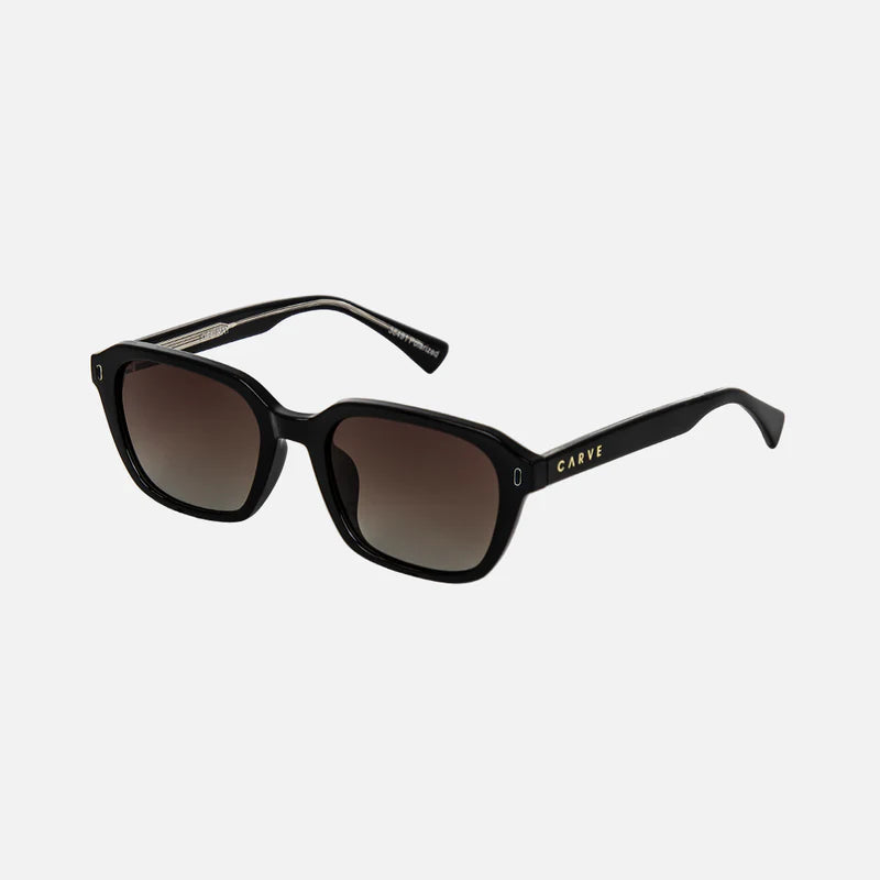 Del Ray - Gloss Black Frame Brown Gradient Polar Lens
