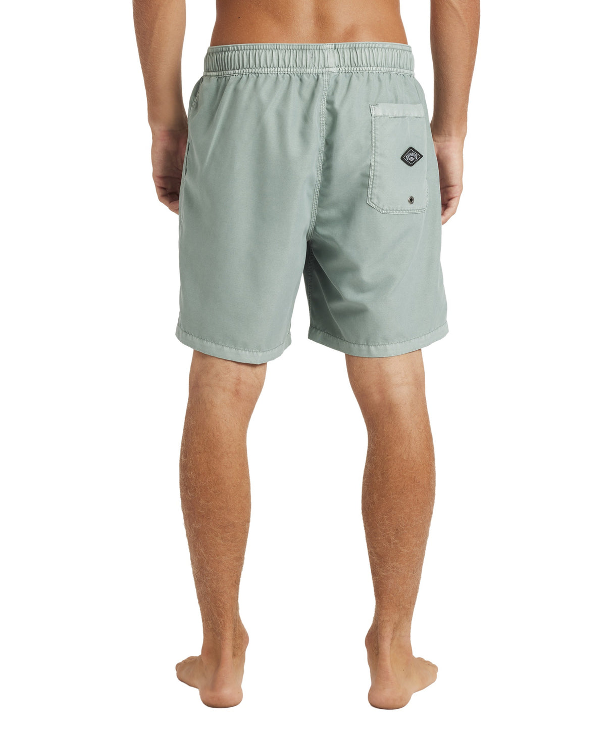 Mens All Day Overdye Layback 17" Boardshorts