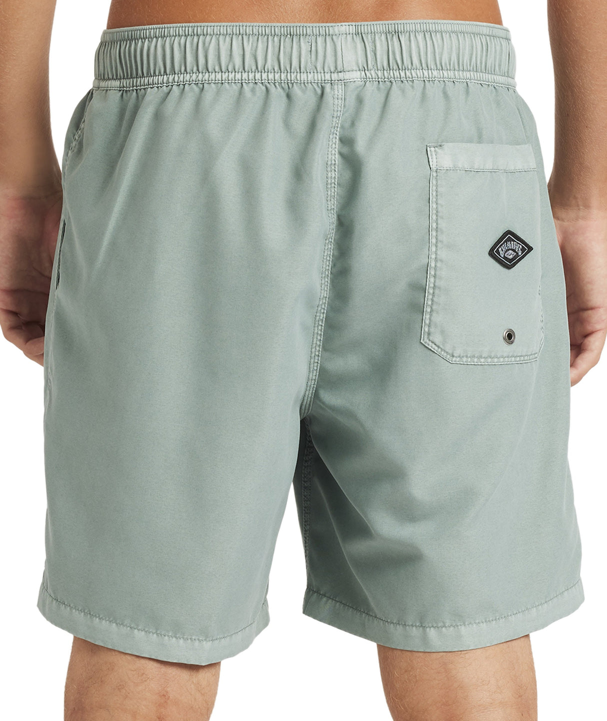 Mens All Day Overdye Layback 17" Boardshorts