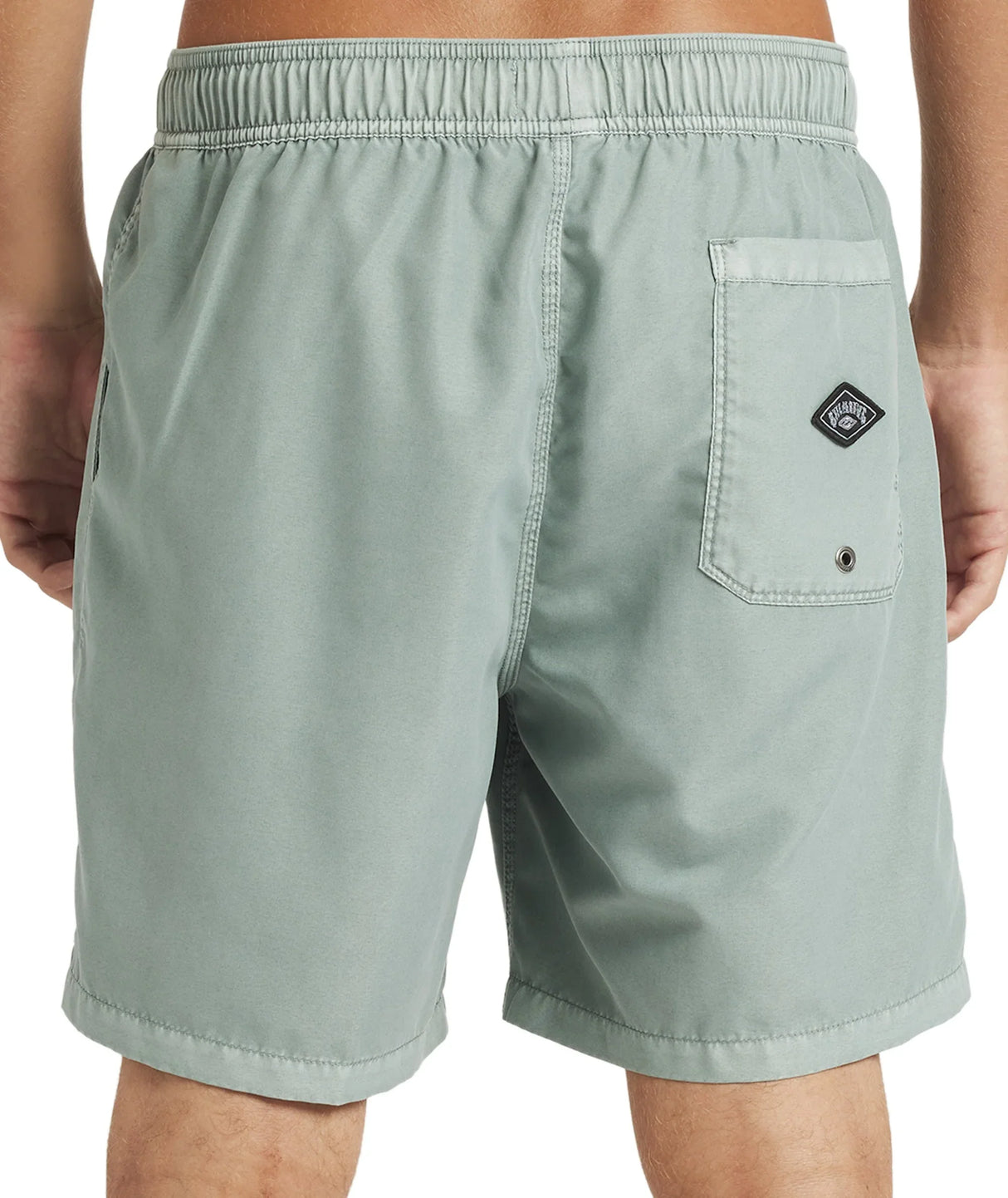 Mens All Day Overdye Layback 17" Boardshorts