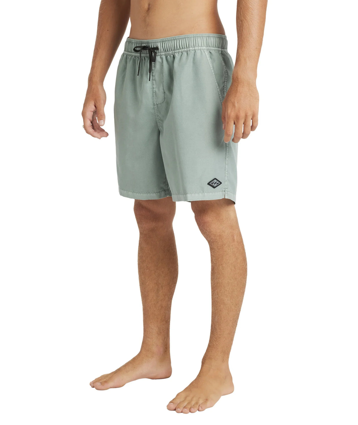 Mens All Day Overdye Layback 17" Boardshorts