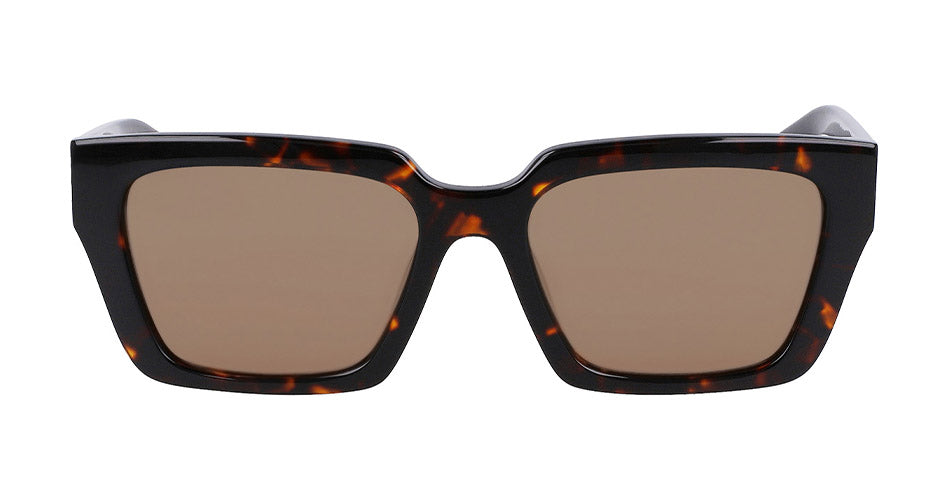Dr Tarran Tortoise / Ll Brown