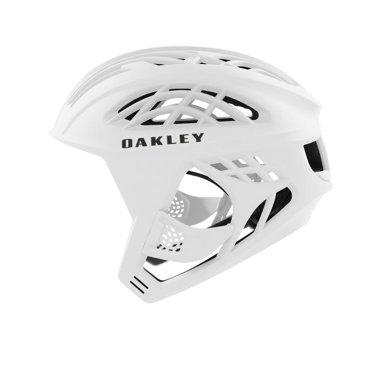 Oakley WTR Icon