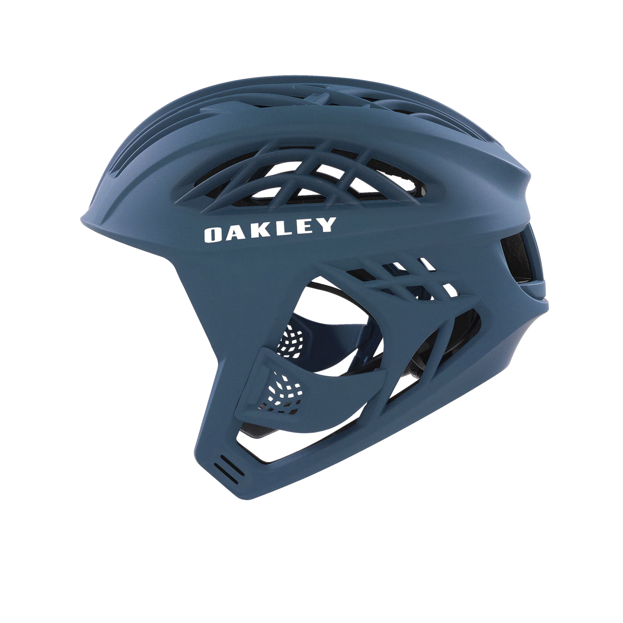 Oakley WTR Icon