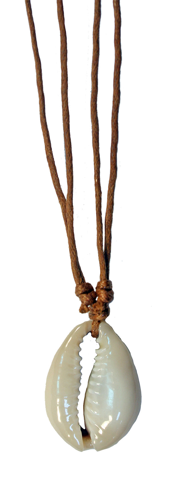 COWRIE SHELL CHOKER W/ NATURAL CORD