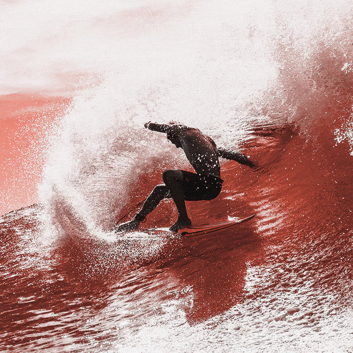 FCS II Sharpeye PC Carbon Tri-Quad Fin Set