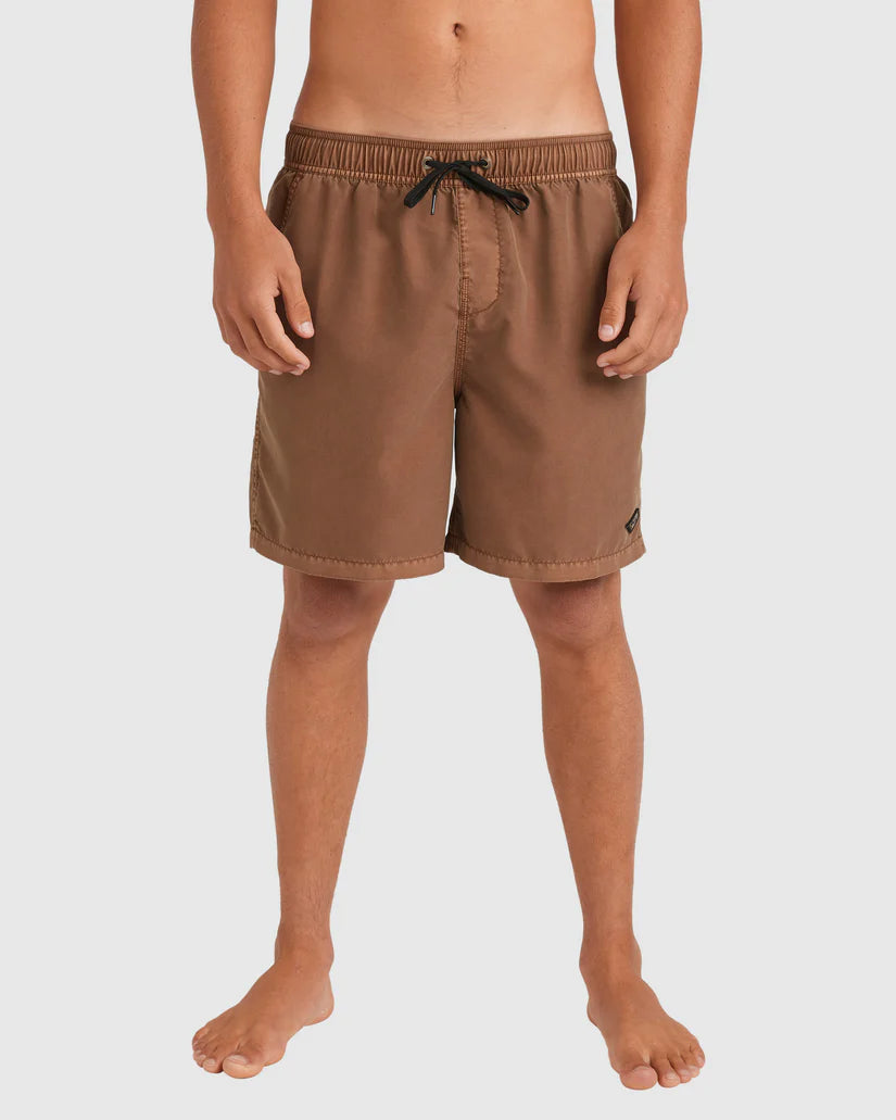 Mens All Day Overdye Layback 17" Boardshorts