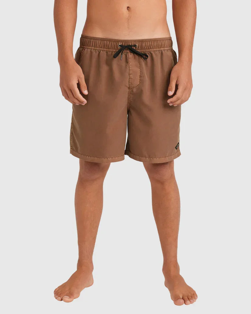 Mens All Day Overdye Layback 17" Boardshorts