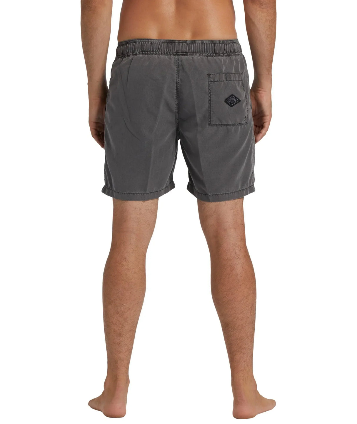 Mens All Day Overdye Layback 17" Boardshorts