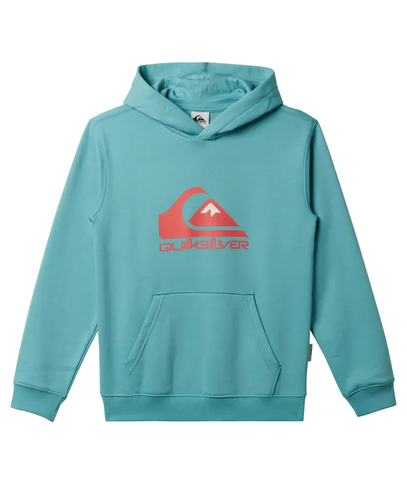 Big Logo Pullover Hoodie
