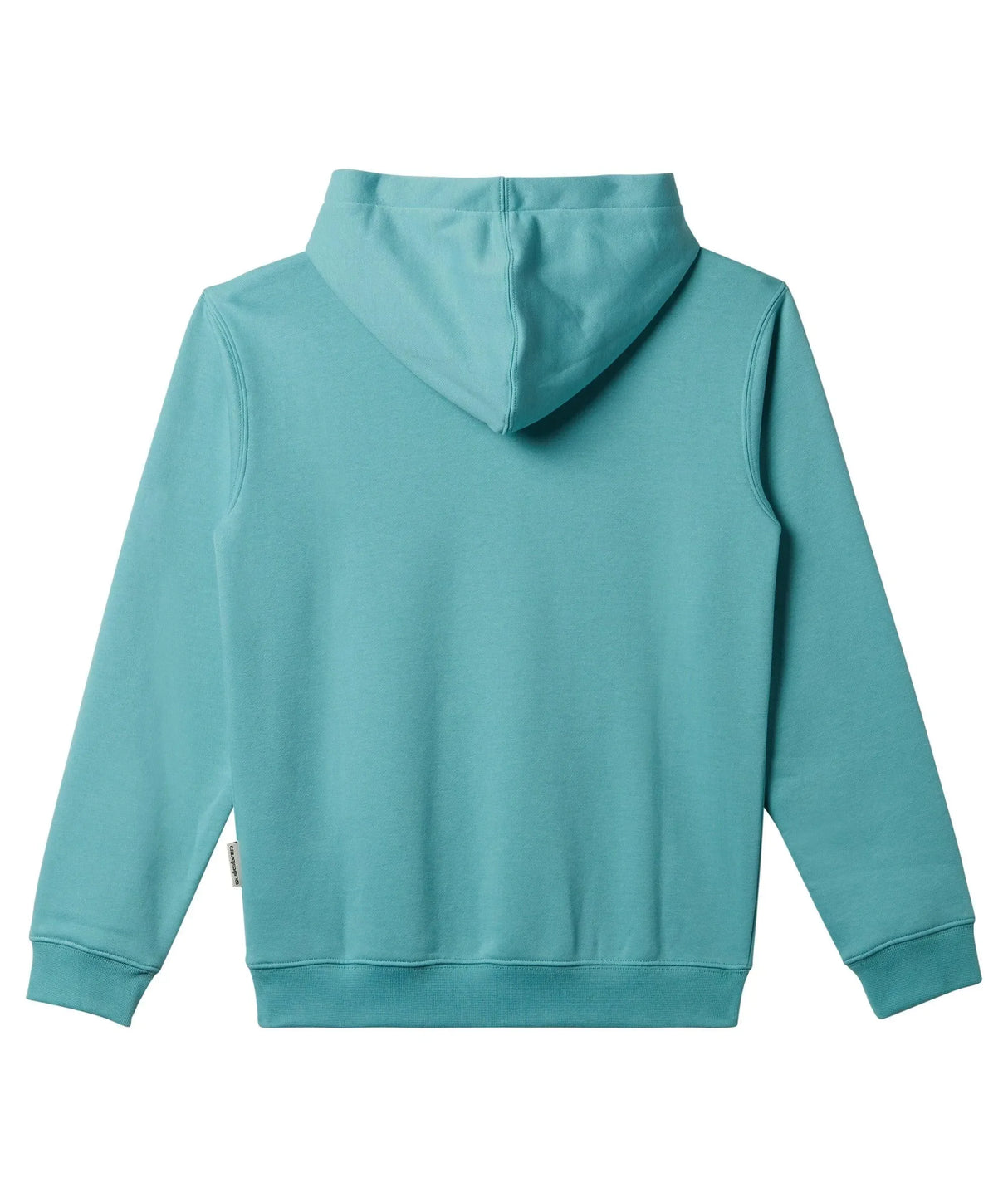 Big Logo Pullover Hoodie