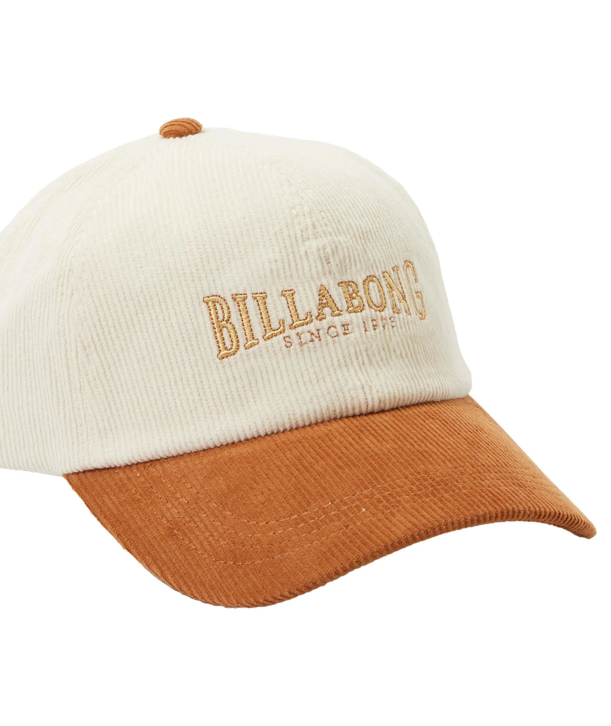 Dad Cap - Beachin Surf