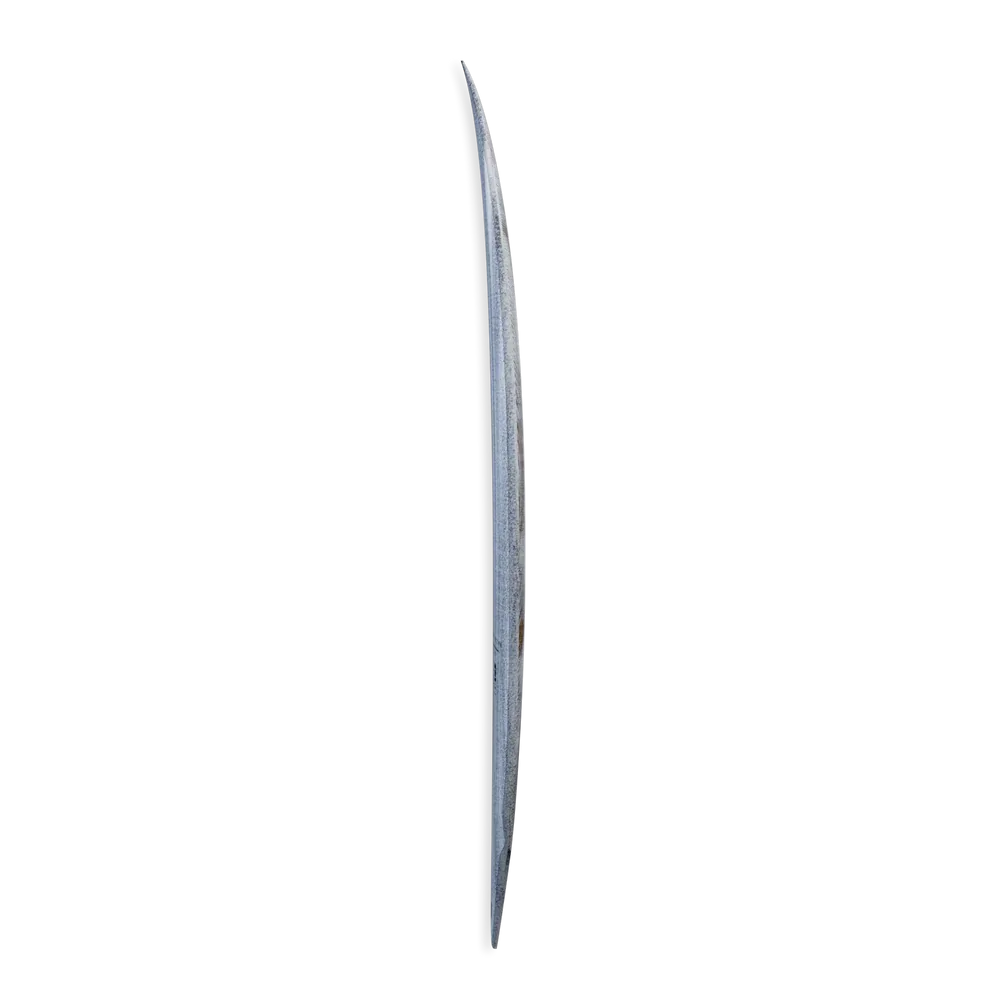 Great White swallow - Beachin Surf