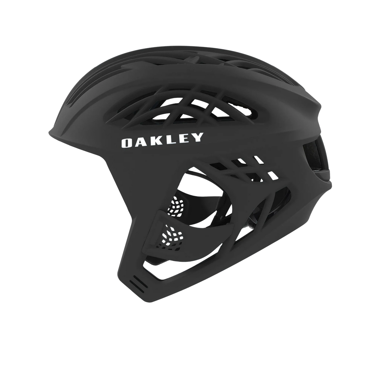 Oakley WTR Icon