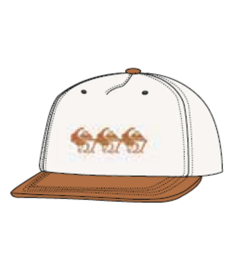 Qs Frassnassa - Beachin Surf