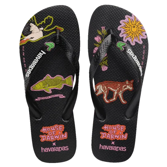 Top House Of Darwin Black - Beachin Surf