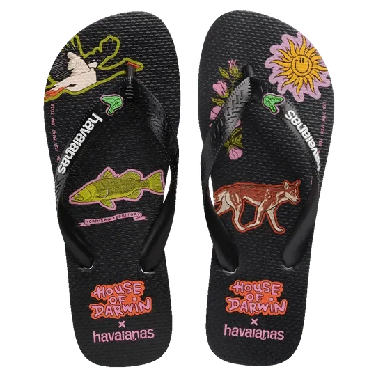 Top House Of Darwin Black