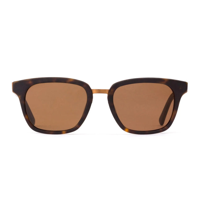 Fiction Matte Dark Tort/Brown - Beachin Surf