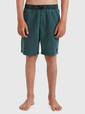 Boardshorts