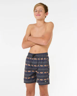 Raw Energy Stripe Volley Boardshorts - Boys (8-16 years)