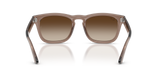 Transparent Light Brown W/ Light Brown Gradient Dark Brown