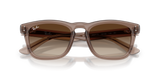 Transparent Light Brown W/ Light Brown Gradient Dark Brown