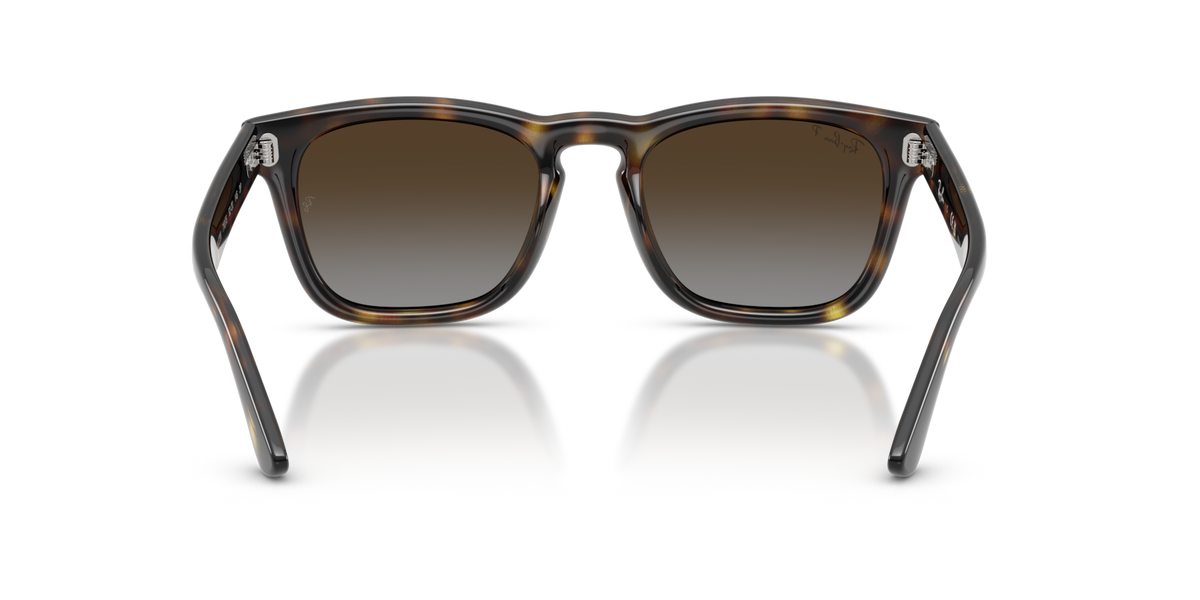 Havana W/ Polar Light Grey Gradient Brown