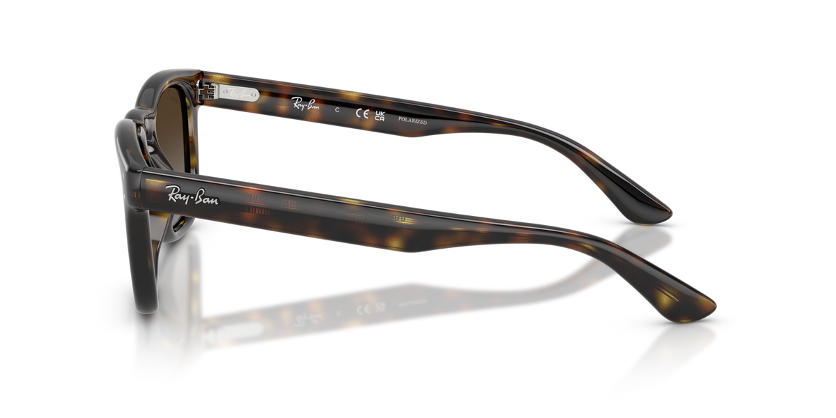 Havana W/ Polar Light Grey Gradient Brown