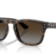 Havana W/ Polar Light Grey Gradient Brown