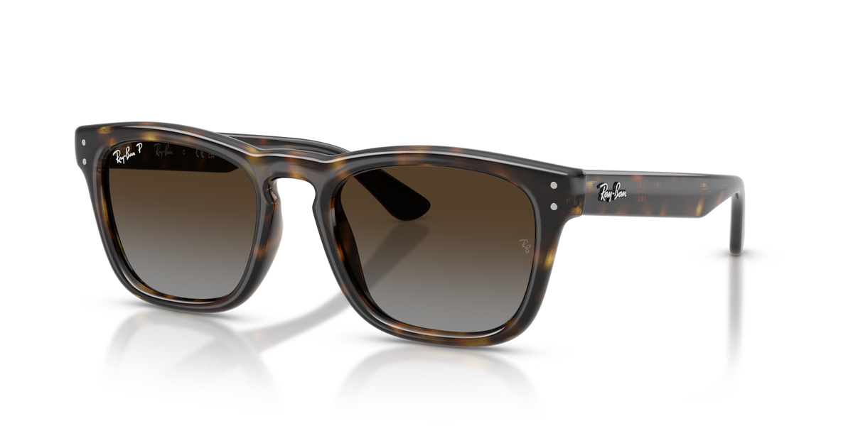 Havana W/ Polar Light Grey Gradient Brown