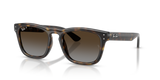 Havana W/ Polar Light Grey Gradient Brown
