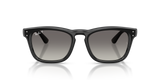 Black W/ Polar Light Grey Gradient Grey