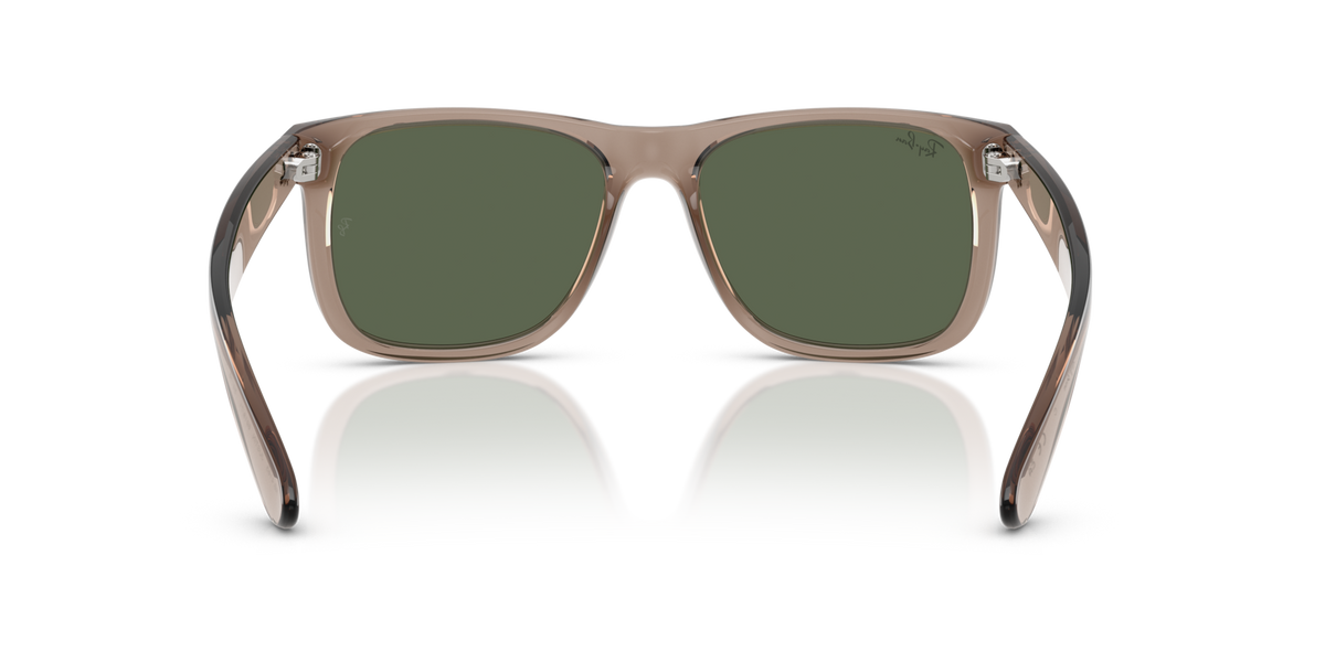 Transparent Brown W/ Dark Green
