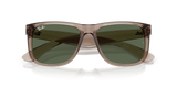Transparent Brown W/ Dark Green