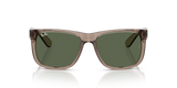 Transparent Brown W/ Dark Green
