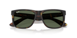 Rubber Havana W/ Dark Green