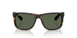 Rubber Havana W/ Dark Green