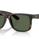 Rubber Havana W/ Dark Green