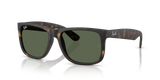 Rubber Havana W/ Dark Green