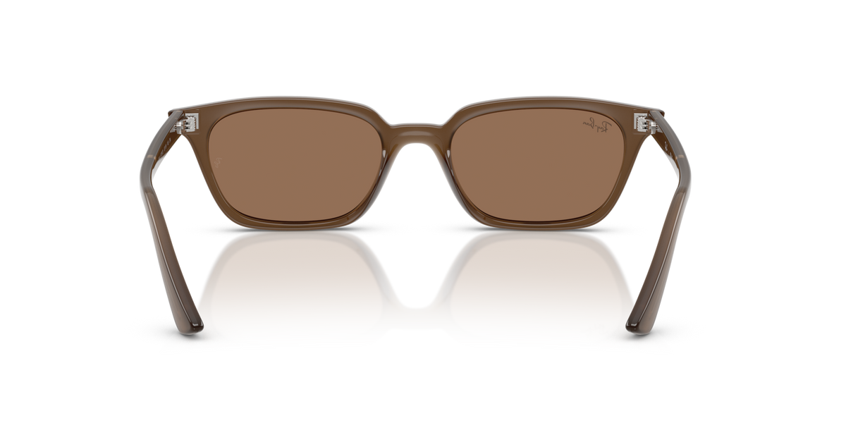 Transparent Brown W/ Dark Brown