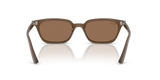 Transparent Brown W/ Dark Brown