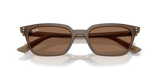 Transparent Brown W/ Dark Brown