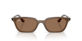 Transparent Brown W/ Dark Brown