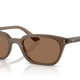 Transparent Brown W/ Dark Brown