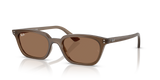 Transparent Brown W/ Dark Brown